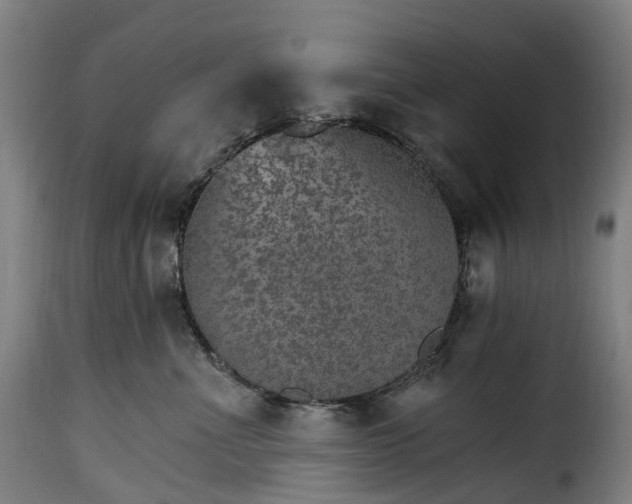 X0000115650523200911241737