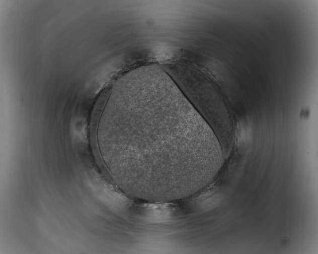 X0000115650524200911241737