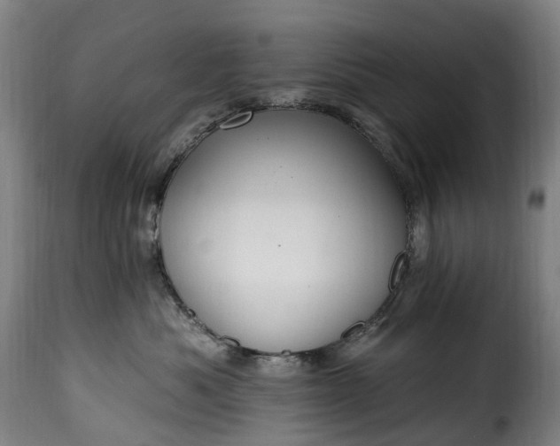 X0000115650525200911241737