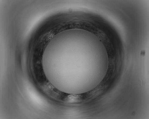 X0000115650526200911241737