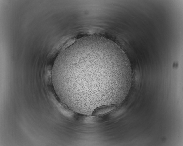 X0000115650527200911241737