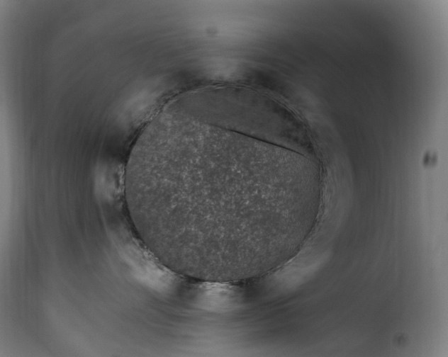 X0000115650528200911241737