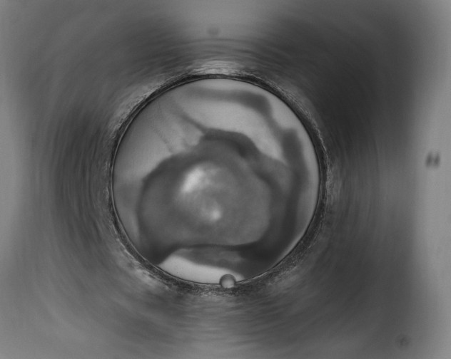 X0000115650529200911241736