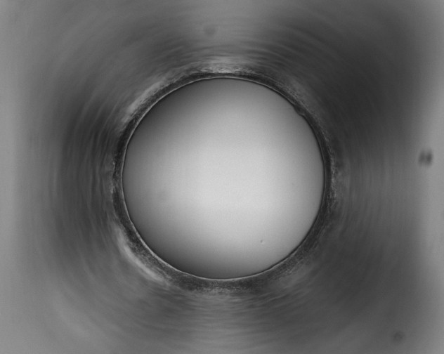 X0000115650530200911241736