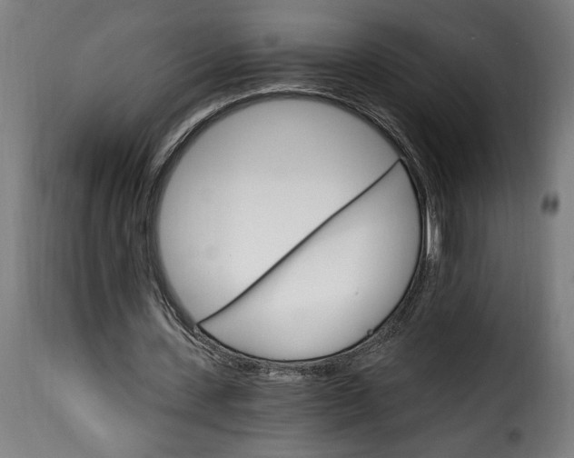 X0000115650531200911241736