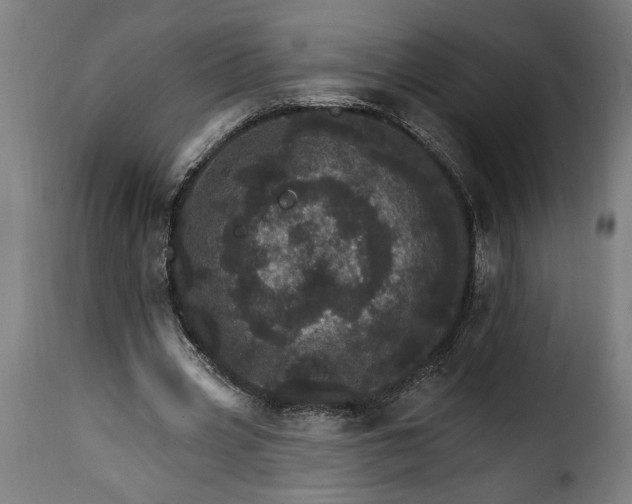 X0000115650533200911241736