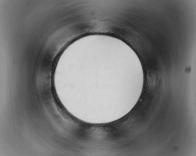 X0000115650534200911241736