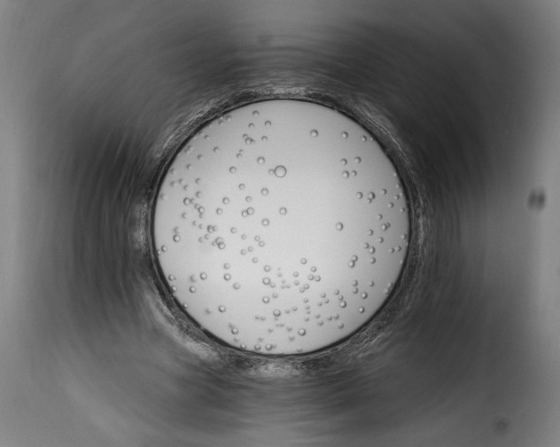 X0000115650537200911241736