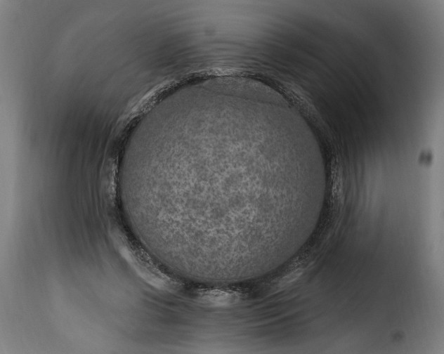 X0000115650542200911241736