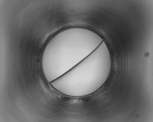 X0000115650543200911241736