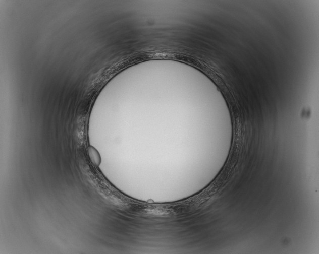 X0000115650545200911241736