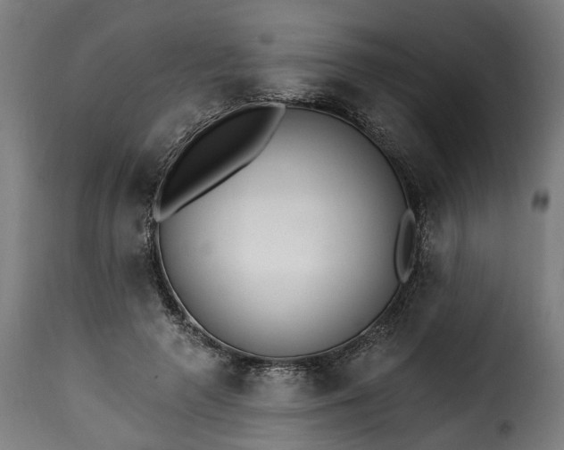 X0000115650546200911241736