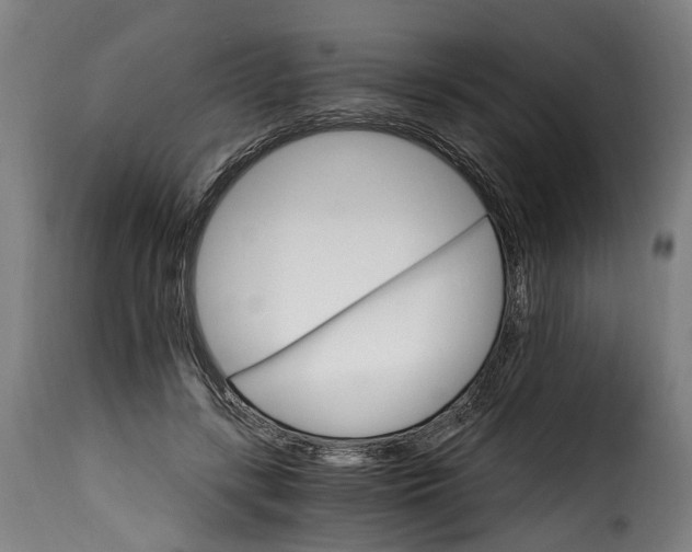 X0000115650547200911241736