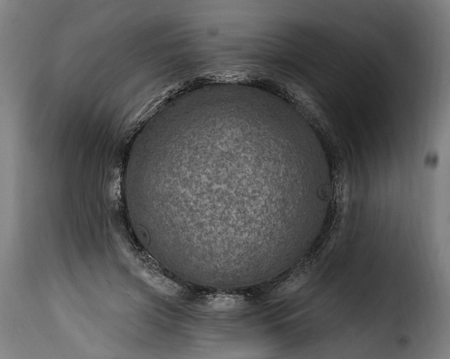 X0000115650549200911241736