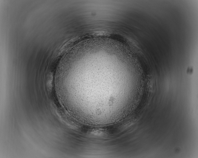 X0000115650550200911241736