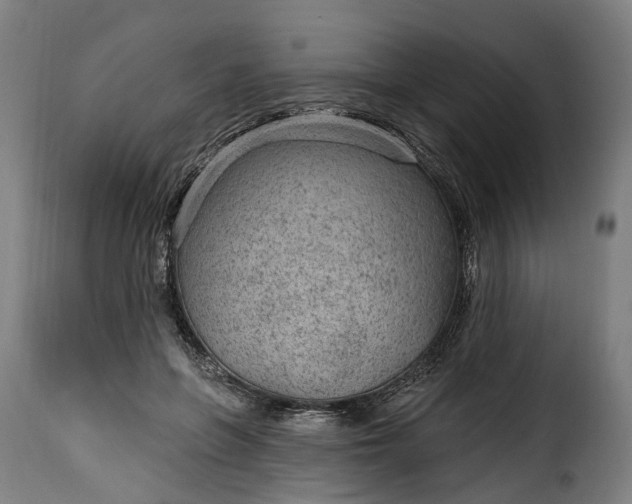 X0000115650551200911241736