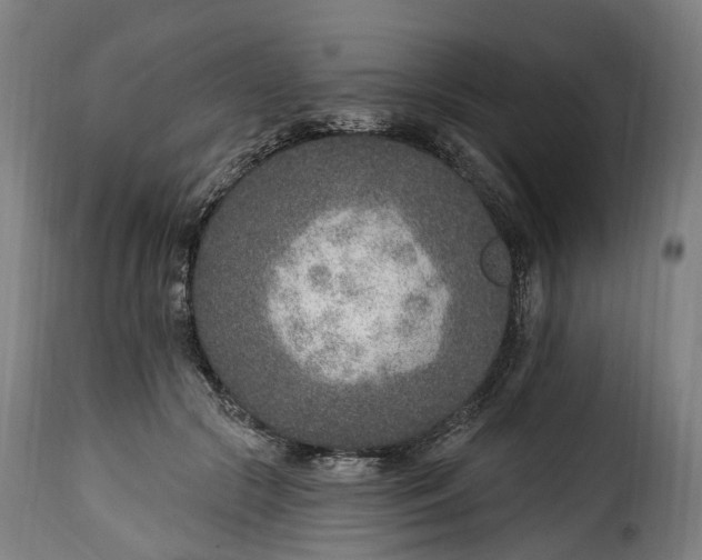 X0000115650553200911241737