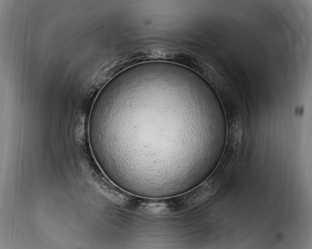 X0000115650554200911241737