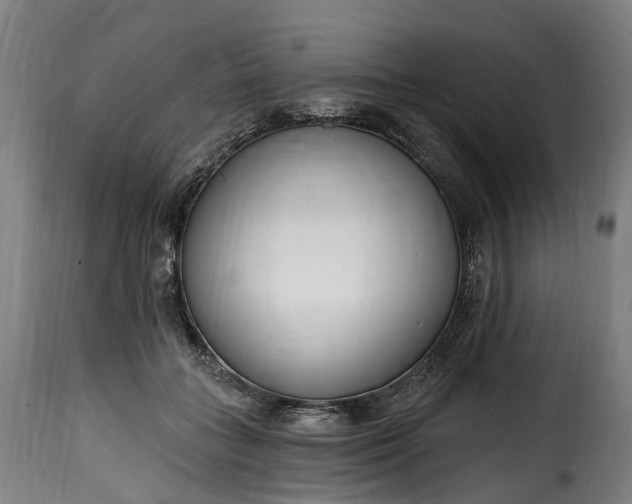 X0000115650555200911241737