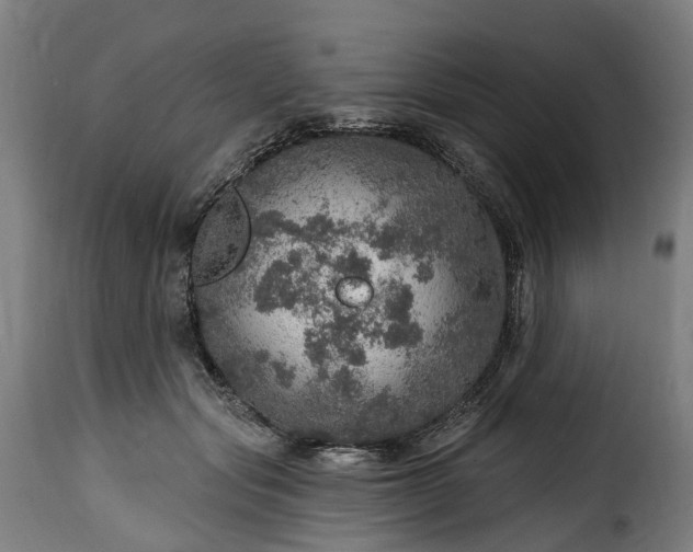 X0000115650557200911241737