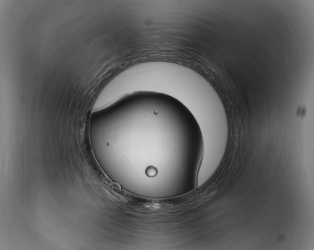 X0000115650558200911241737