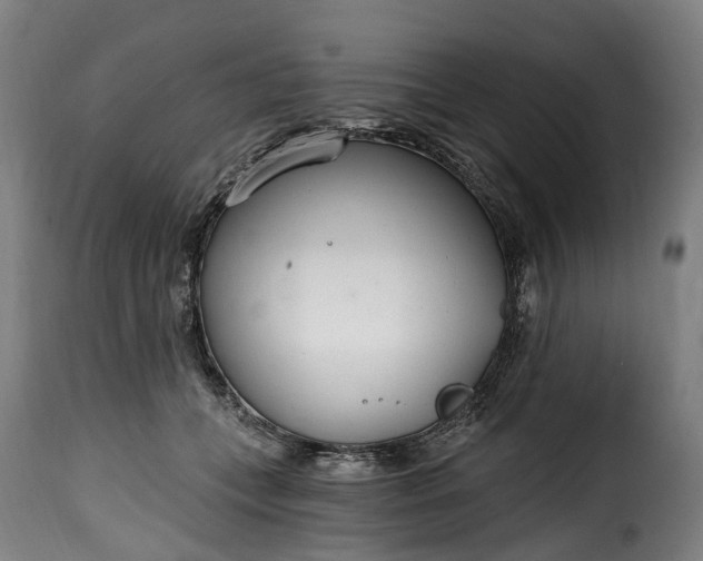 X0000115650559200911241737