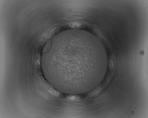 X0000115650561200911241737