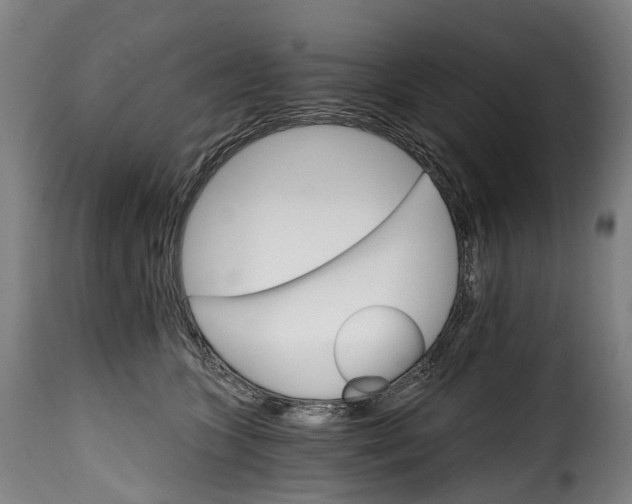 X0000115650563200911241737