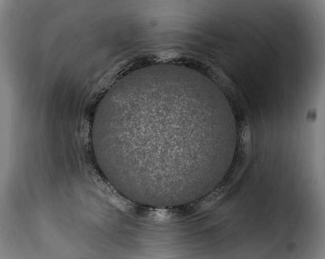 X0000115650565200911241737