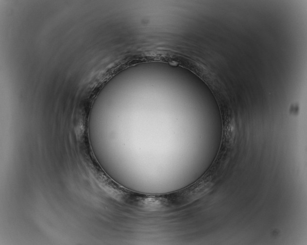 X0000115650566200911241737