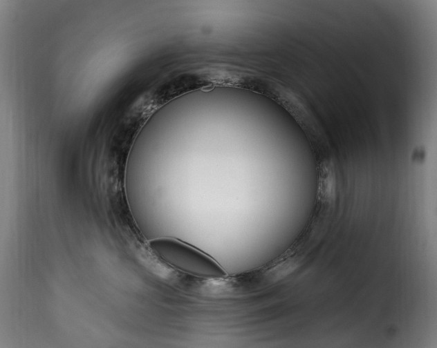 X0000115650573200911241737