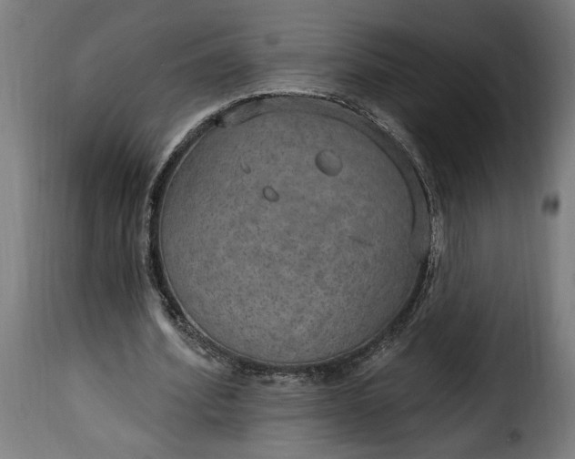 X0000115650580200911241736