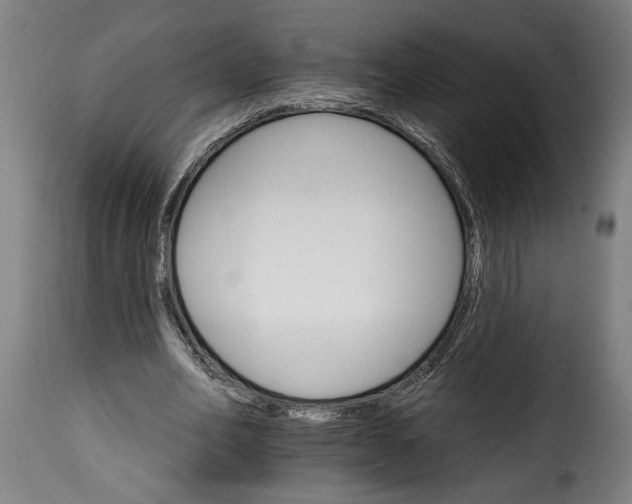 X0000115650582200911241736