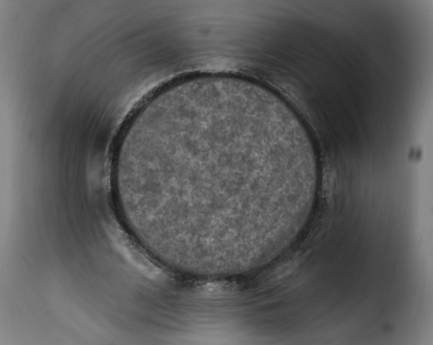 X0000115650584200911241736