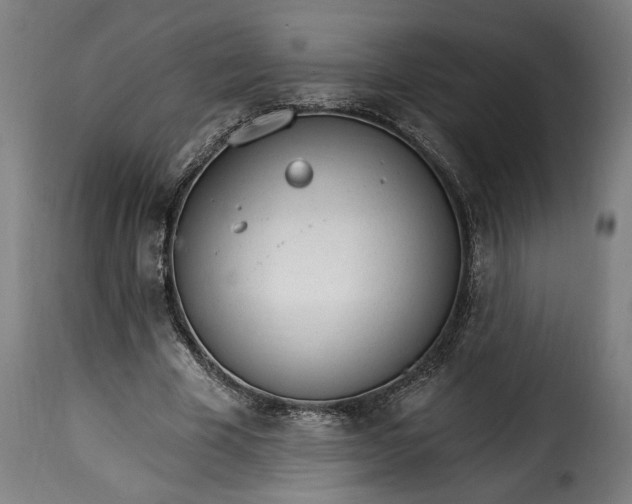 X0000115650585200911241736