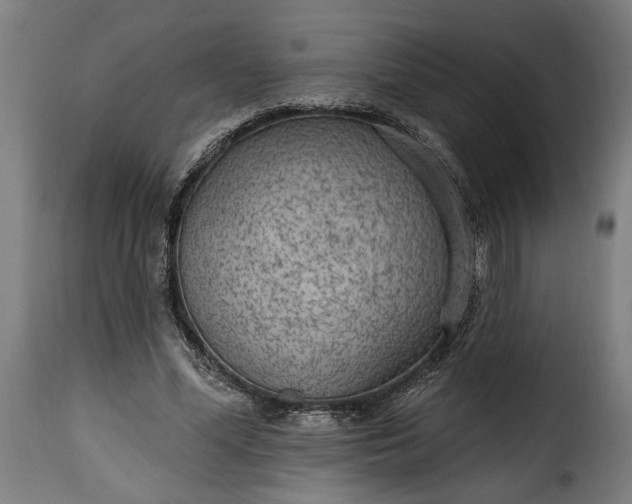 X0000115650588200911241736