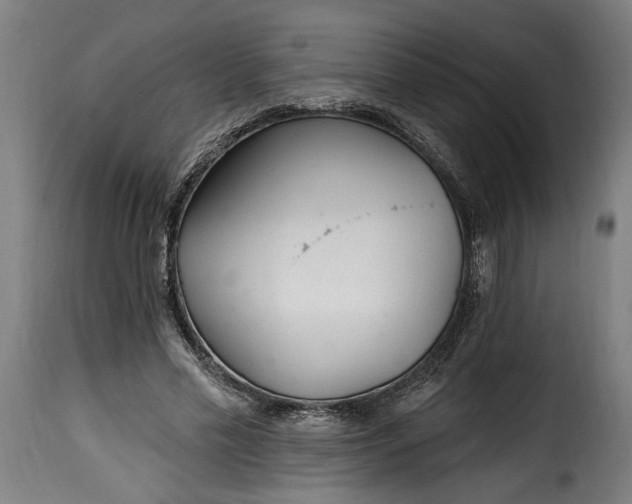 X0000115650589200911241736