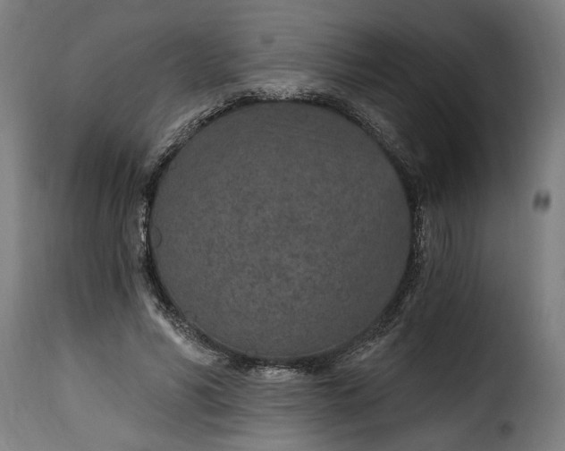 X0000115650590200911241736