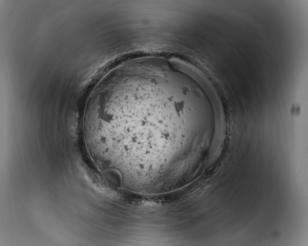 X0000115650592200911241736