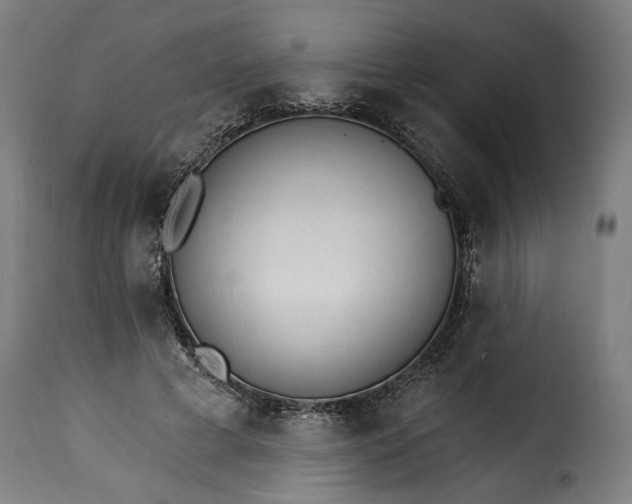 X0000115650593200911241736