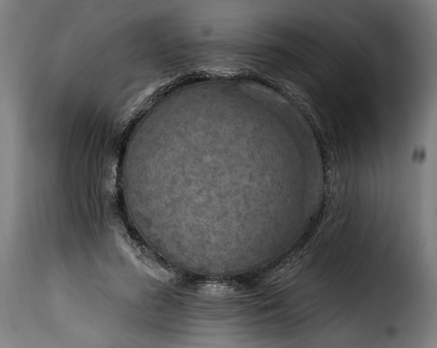 X0000115650596200911241736