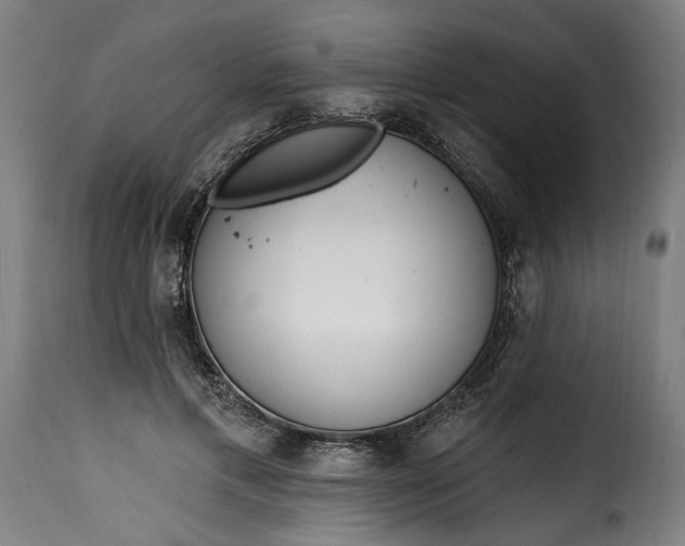 X0000115650597200911241736