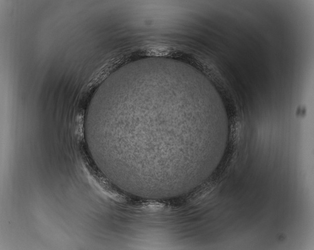 X0000115650598200911241736