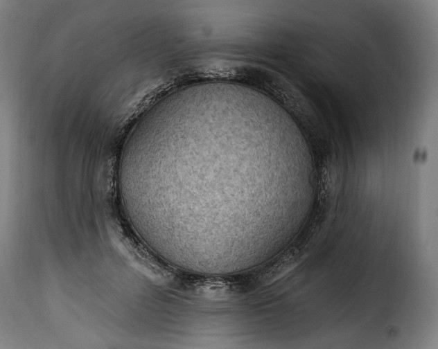 X0000115650600200911241736