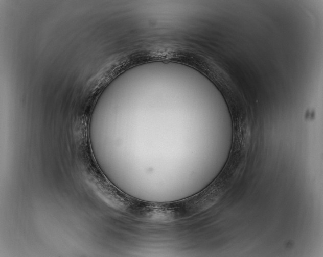 X0000115650601200911241736