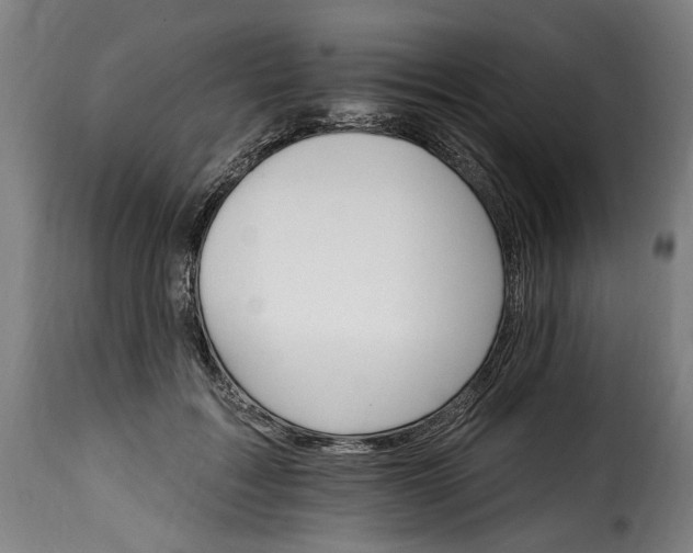 X0000115650603200911241736