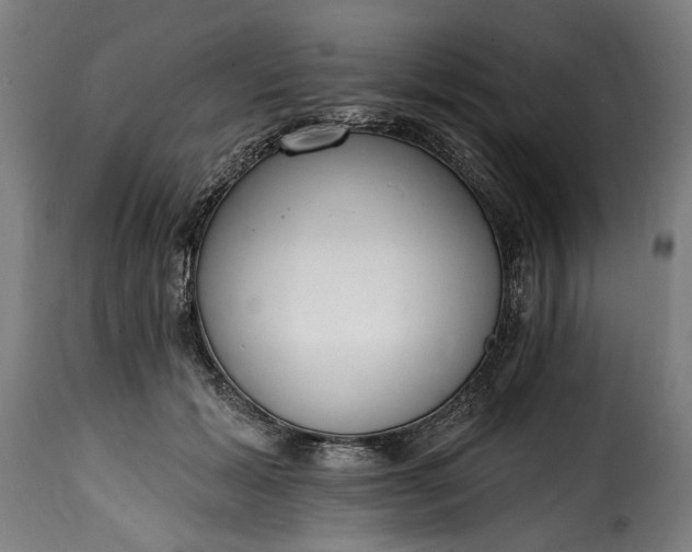 X0000115650605200911241736