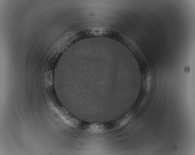 X0000115650606200911241736