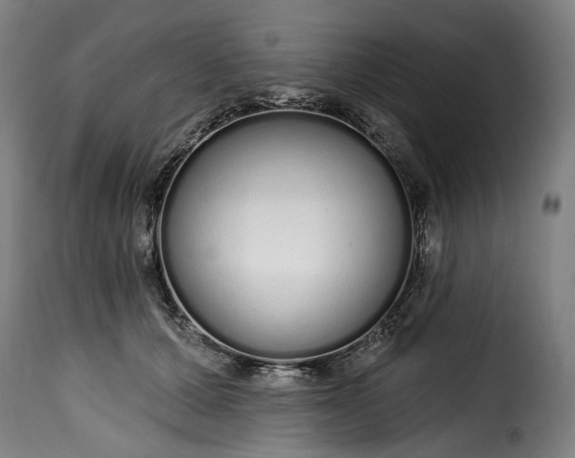 X0000115650607200911241736