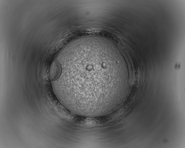 X0000115650608200911241736